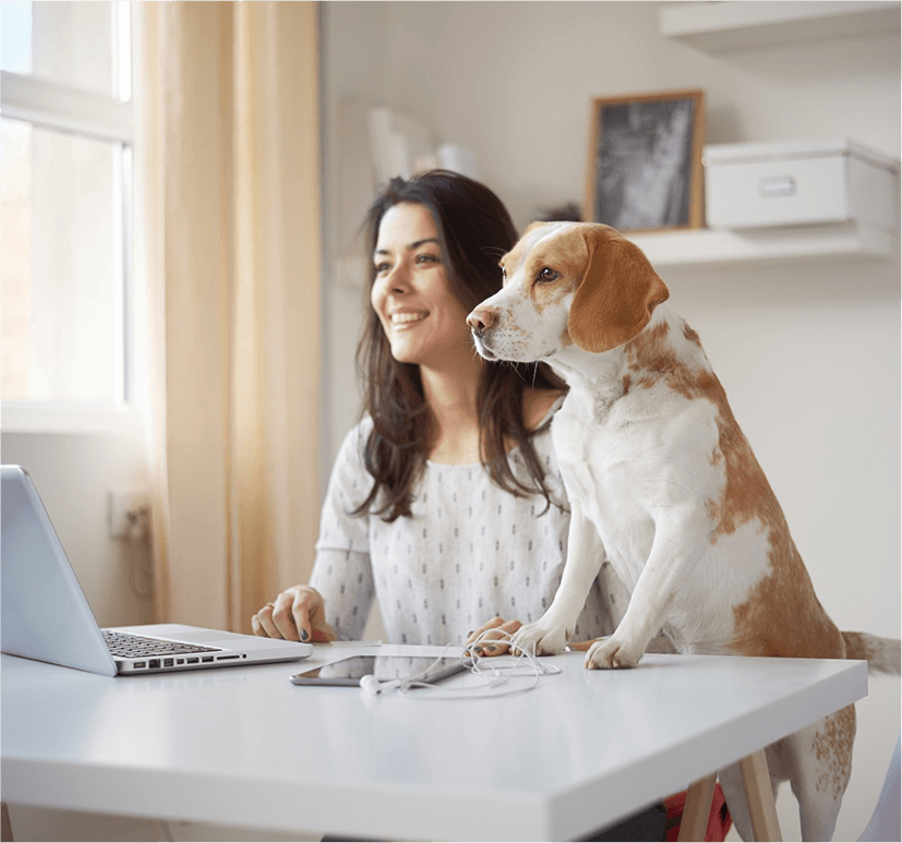 Woman with a dog sitting at a laptop