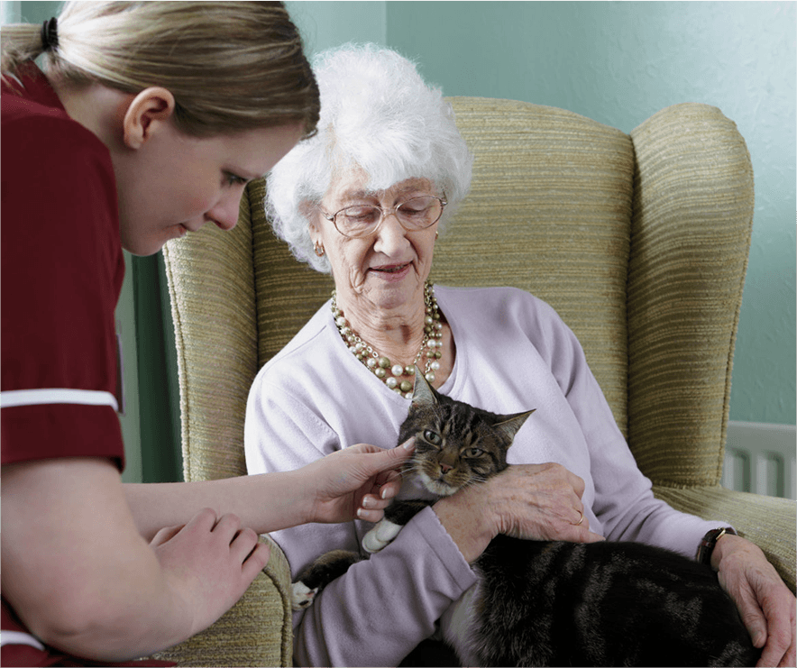 Older woman with a cat