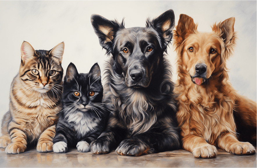 Group of cats and dogs