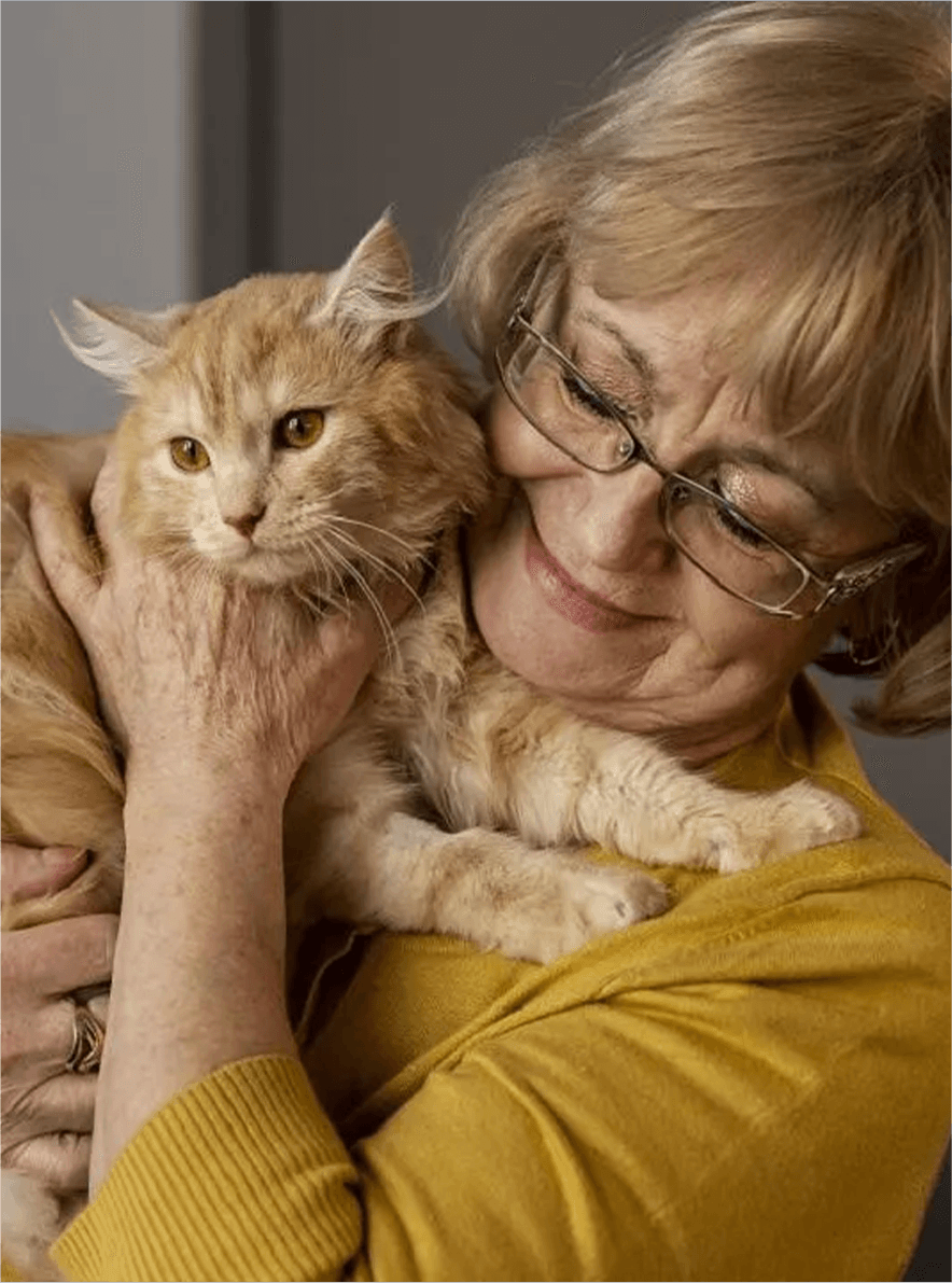 Person holding an orange cat