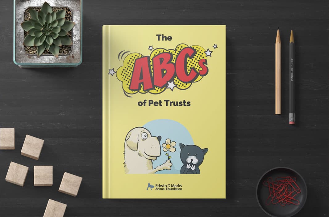 Ebook Cover