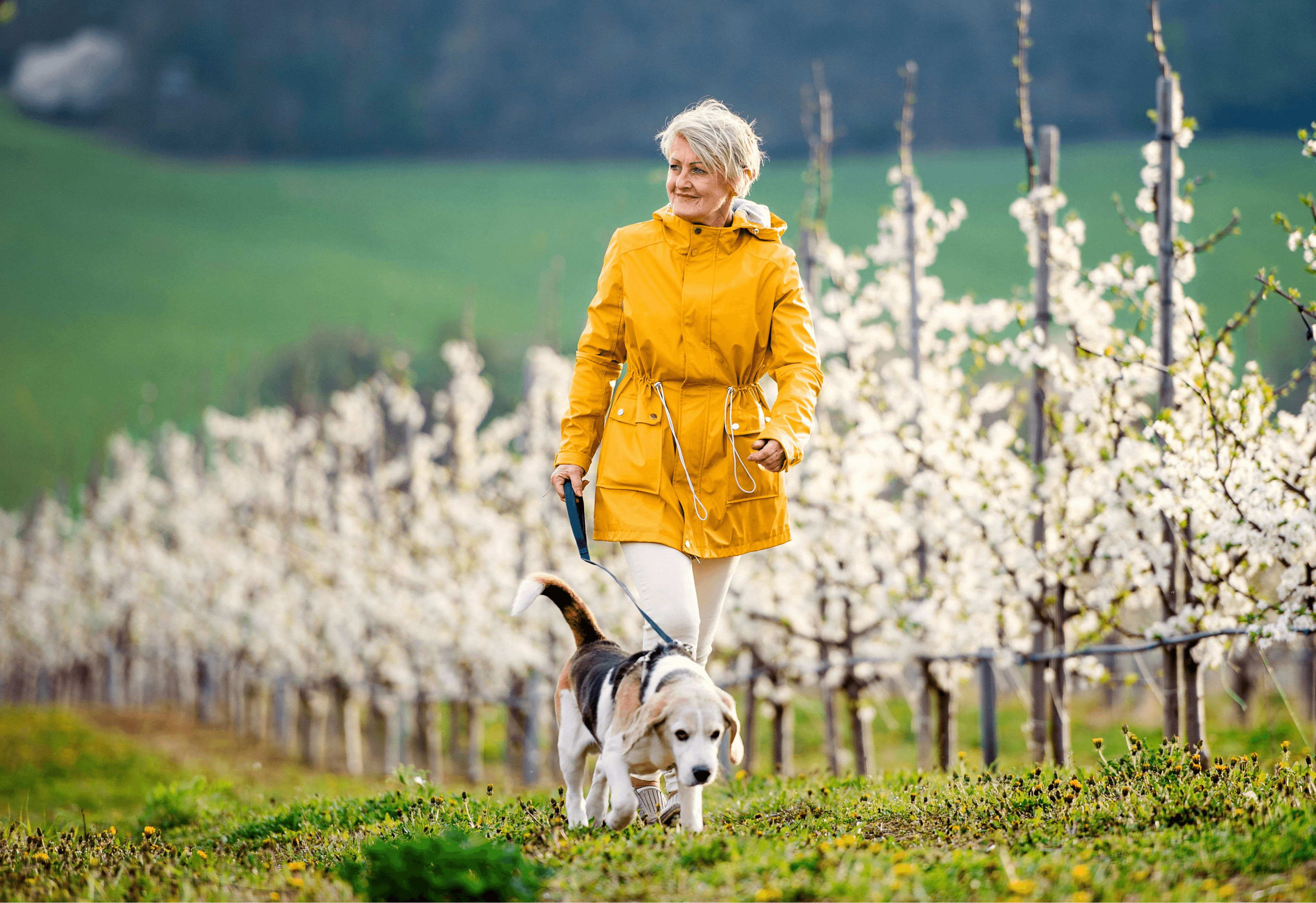 Passionate pet person walking her dog