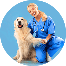 VETERINARIAN