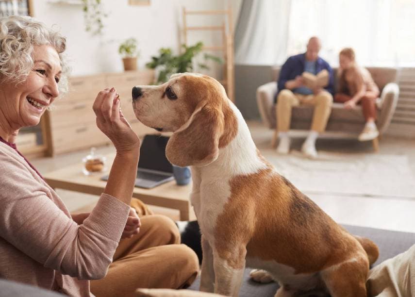 woman with dog