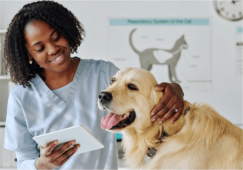 Vet with a dog
