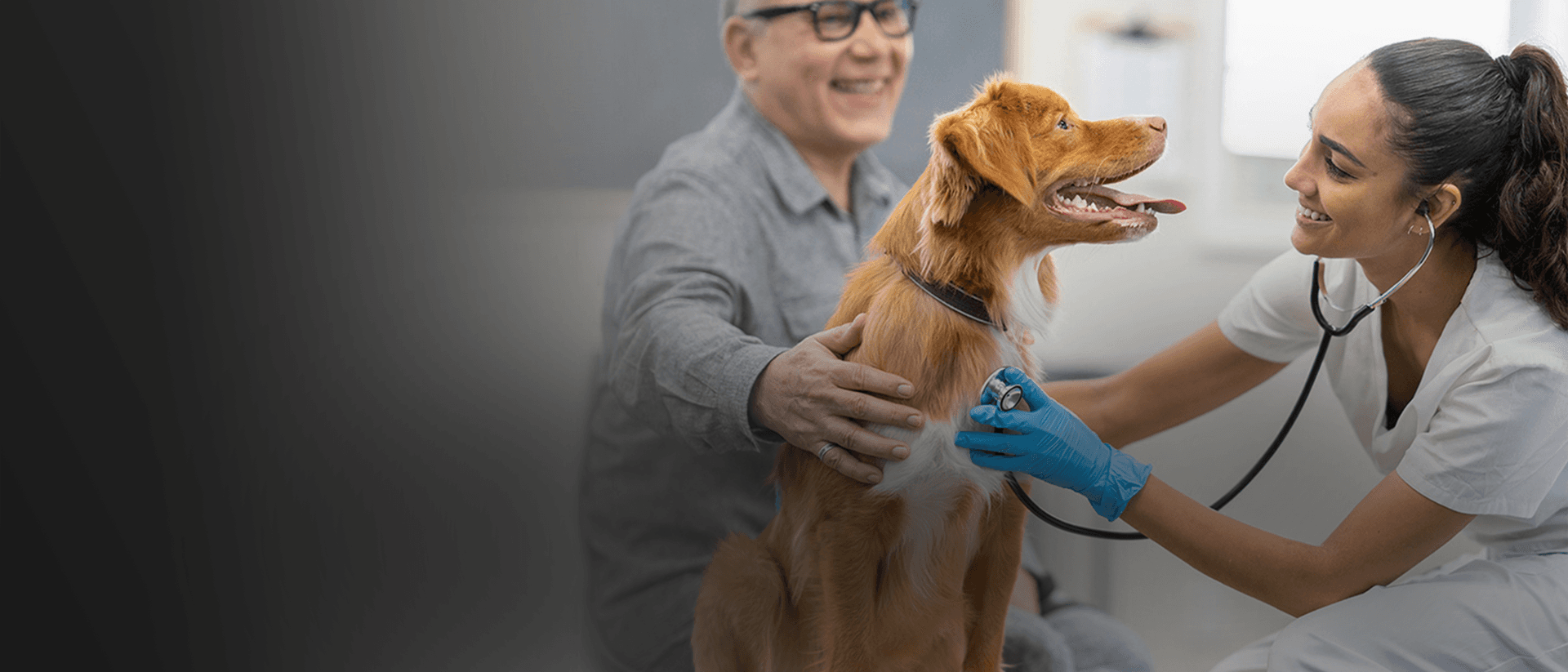 Veterinarian with dog