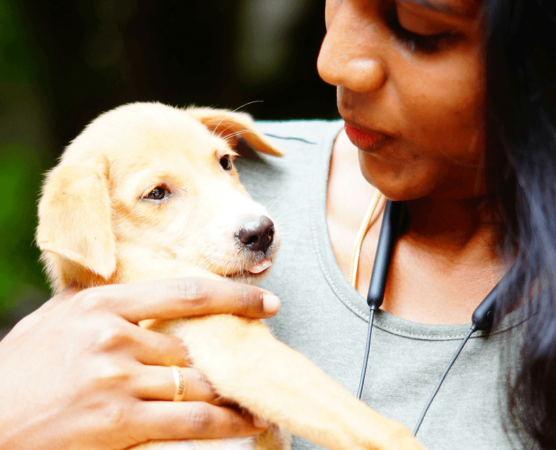 A veterinarian holding a puppy