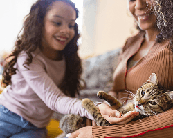 Caretaker with pets