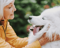 Older adult with a cat