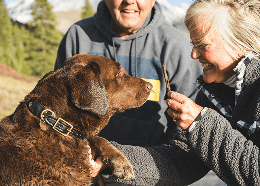 couple with dogs
